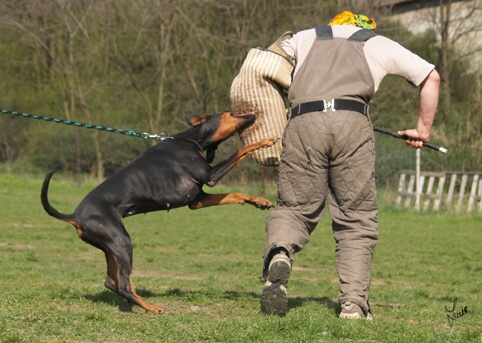 Training 4. 4. 2007